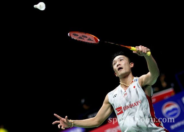 色的表现迅 色的表现迅