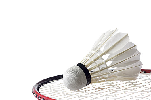 增添了欢乐 增添了欢乐