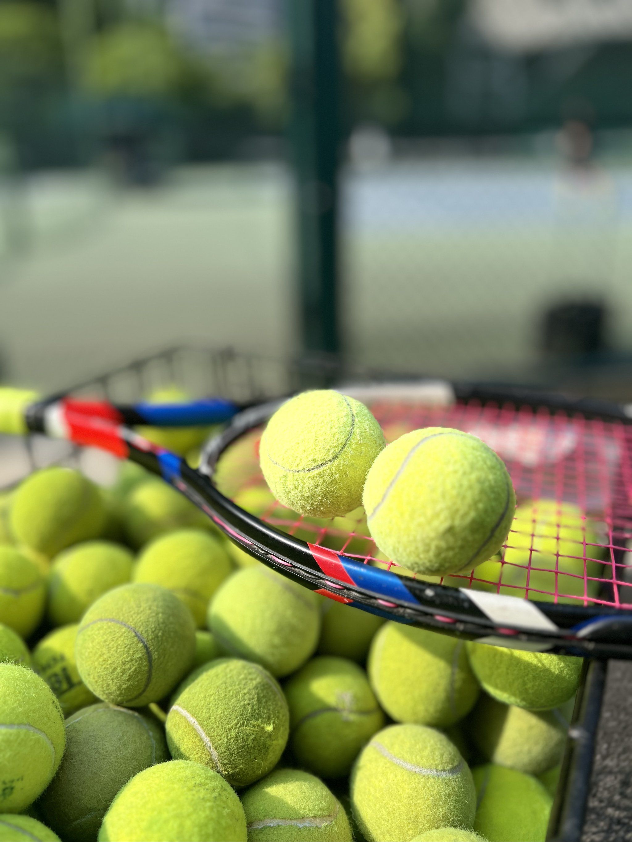 弃背后的逻 弃背后的逻